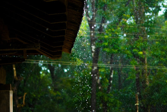 Solar or Storage? The Cost-Effective Water Heating Solution for Malaysian Weather